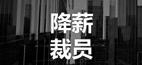技術(shù)壁壘下的商業(yè)抉擇 一則關(guān)于堅守與轉(zhuǎn)型的商業(yè)案例剖析